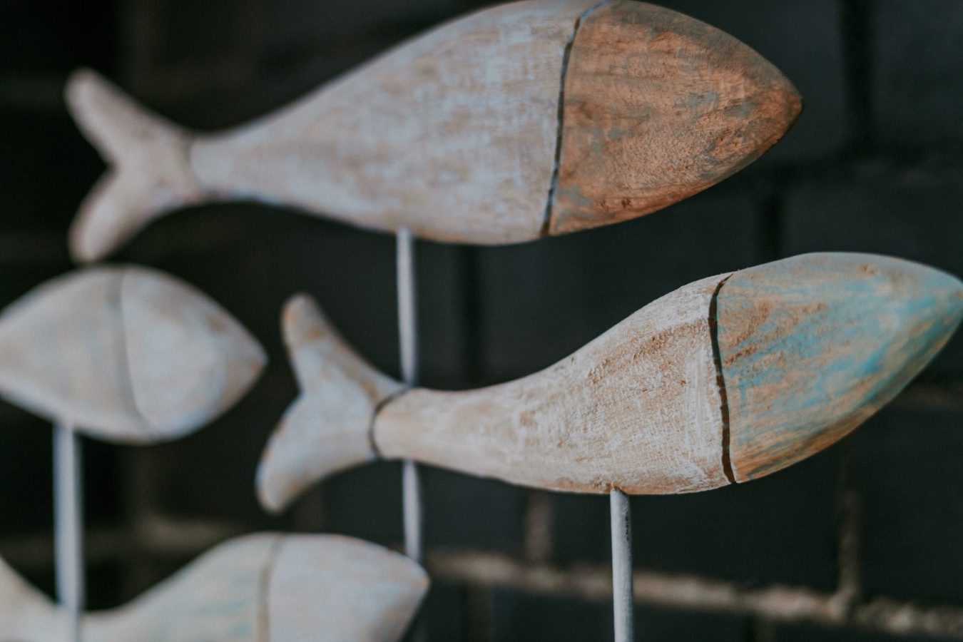 luxury seafront palazzo dussmann homes rovinj