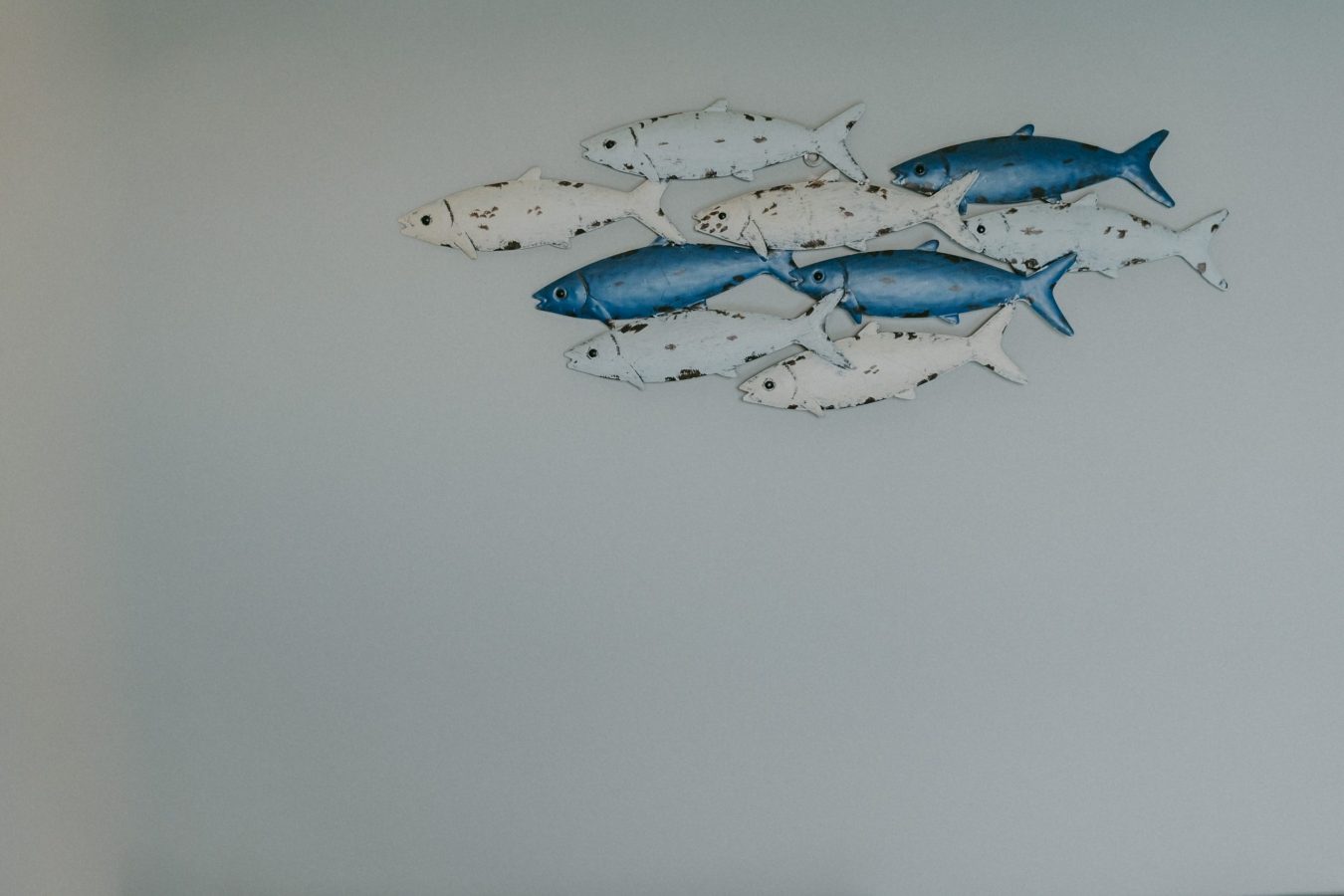 luxury seafront palazzo dussmann homes rovinj