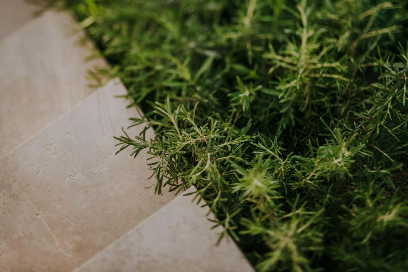 villa-bartolo-motovun-istria-croatia-107