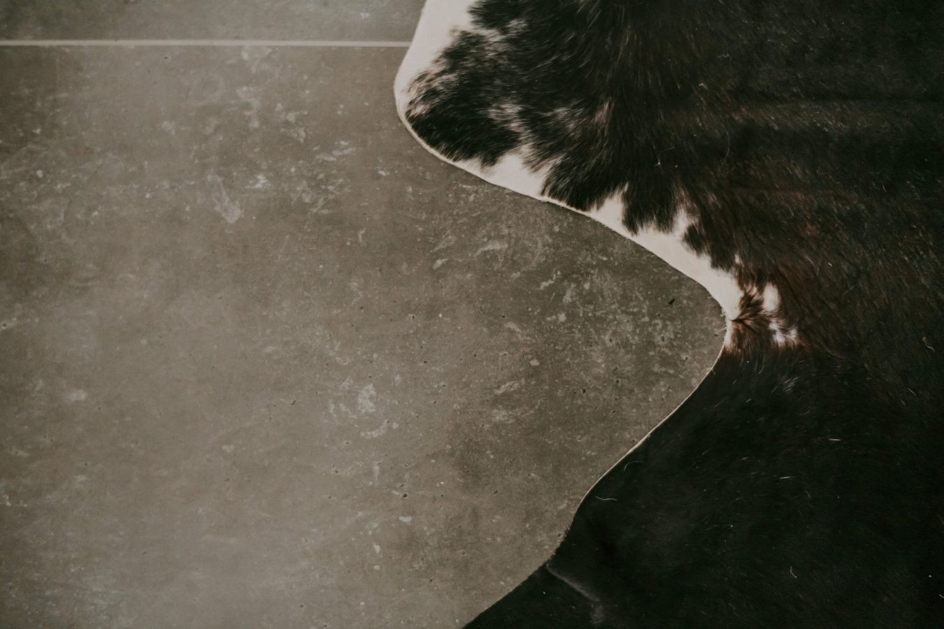 villa martin momjan istria croatia